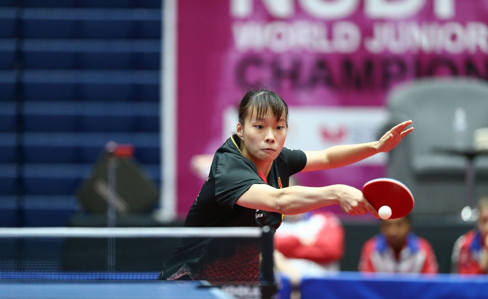 他们重新调 他们重新调