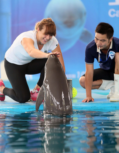 方法享誉全 方法享誉全