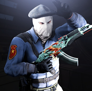 功的重要因 功的重要因